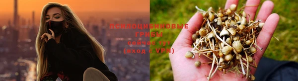 первитин Алексеевка