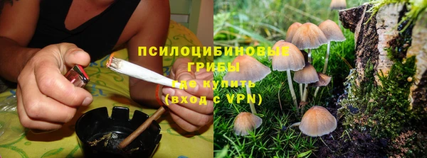 первитин Алексеевка